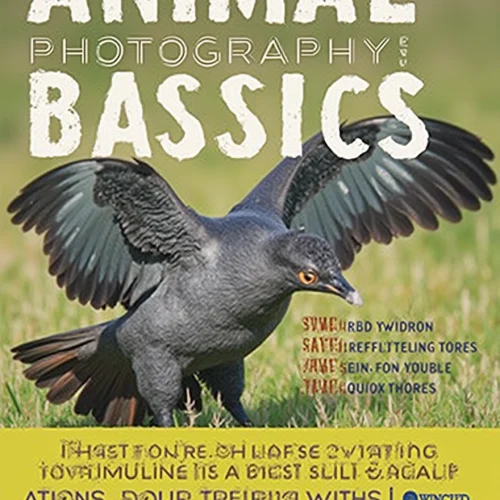 Animal Photography Basics: Mastering the Art of Capturing Wildlife